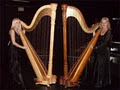 Harp Music Entertainment logo