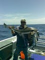 Lakes Entrance Offshore Charters image 4