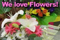 Lilly's in Bloom Florist logo