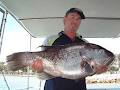 Mandurah Fishing Charters image 5