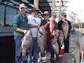 Mandurah Fishing Charters image 6