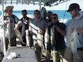 Moreton Island Fishing Charters image 4