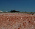 Mulgundawa Salt image 1