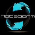 Netstorm Hosting logo