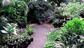 Oasis Plant Nursery image 3