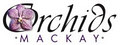 Orchids Mackay logo