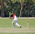 Osborne Park Cricket Club Inc. image 1