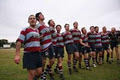 Petersham Rugby Club image 2