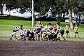 Petersham Rugby Club image 5