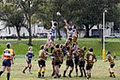 Petersham Rugby Club image 6