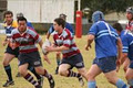 Petersham Rugby Club image 1