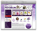 Pixelfire Melbourne Web Design image 2