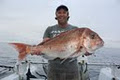 Pro Red Fishing Charters image 2