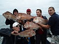 Pro Red Fishing Charters image 3
