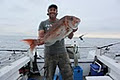 Pro Red Fishing Charters image 5
