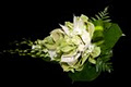 Proud Designs Freelance Florist image 5