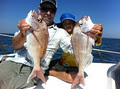 Queenscliff Fishing Charters and Scenic Tours image 3