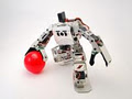 RoboteShop image 5
