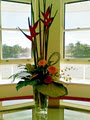 Safari's Florist Gift Shop image 3