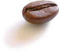 Salerno Coffee Company logo