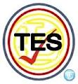 TES-Training & Employment Solutions logo