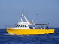 TRUE BLUE GOLD COAST FISHING CHARTERS/GIFT CERTIFICATES image 3