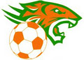 Tarragindi Tigers Football Club image 1