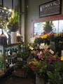 The Little Flower Shop image 1
