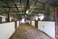 Ticcara Equestrian Centre image 1