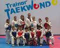 Trainor Taekwondo Academy logo