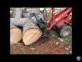 Tree Lopping Services Coffs Harbour image 3