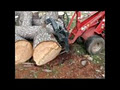 Tree Lopping Services Coffs Harbour logo