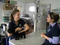 Twin Towns Vet Clinic image 3