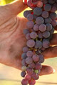 Vale Creek Wines - Winery Bathurst image 2
