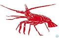 Vasiliki Lobsters Melbourne image 2