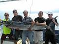 Wahoo Fishing Charters - Offshore & Inshore Fishing Charters - Gold Coast image 2