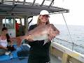Wahoo Fishing Charters - Offshore & Inshore Fishing Charters - Gold Coast image 3