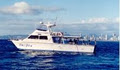 Wahoo Fishing Charters - Offshore & Inshore Fishing Charters - Gold Coast logo
