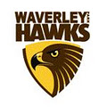 Waverley Park Hawks Junior Football Club image 1