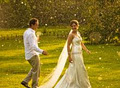 Wedding Photography - Blue Tulip Imaging image 2