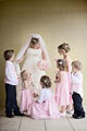 Wedding Photography - Blue Tulip Imaging image 5