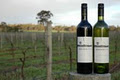 Whicher Ridge Wines image 1