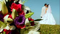 White Studios Wedding Videos image 3