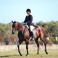 Winmallee Classical Riding image 2