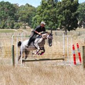Winmallee Classical Riding image 3