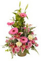 florists online gold coast image 1