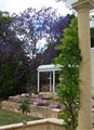 'Wisteria Park' Luxury Bed and Breakfast Accommodation image 2