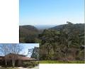 Adelaide Hills Council image 5