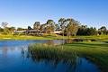 Campbelltown Golf Club image 2