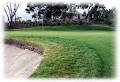 Freeway Golf Course image 1